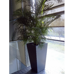 Planta Autorregante 3