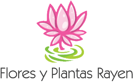 Flores y Plantas Rayen